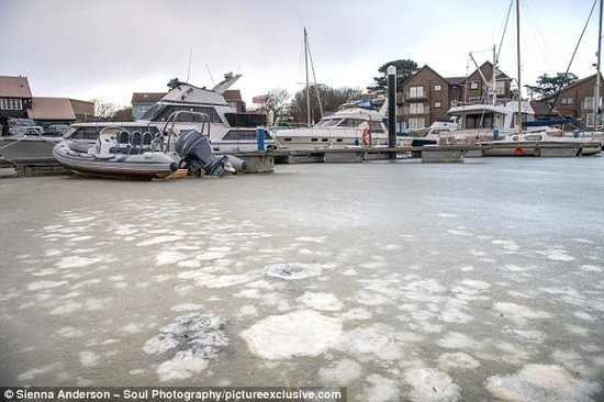 Frozen Sea (Daily Mail)