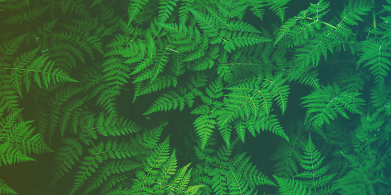 Supply chain traceability to support ESG environmental social governance goals 