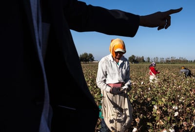 antislavery uzbek cotton