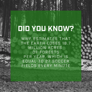 deforestation fact