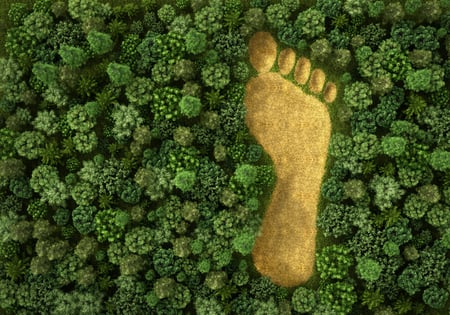 footprint