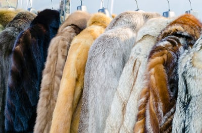 fur coats