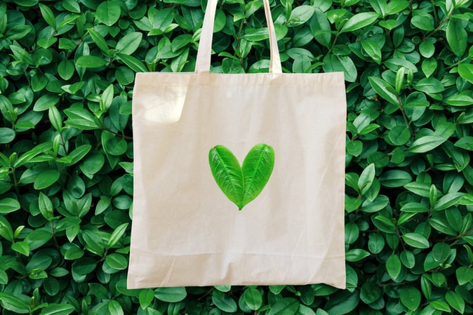Innovation in Sustainable Fashion: A Follow Up