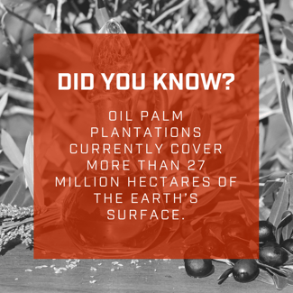 palm oil fact