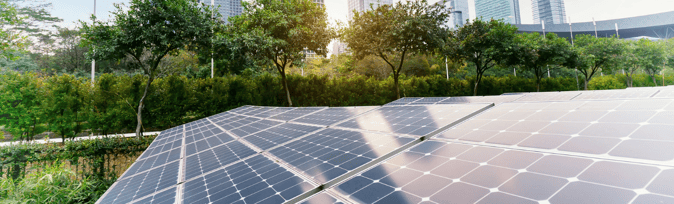 Sustainability in the Boardroom: the Business Case