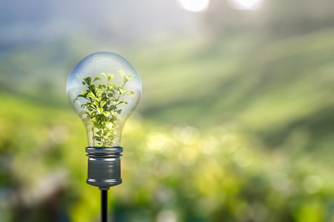Sustainable Sourcing Challenges: A Guide to Technology