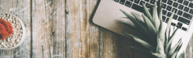 Segura and Tailorlux - a New Partnership